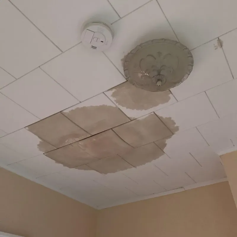 Ceiling Water Damage Repair in Pembroke, NC