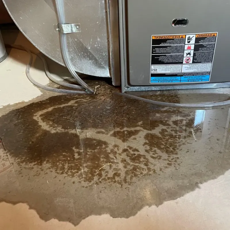 Pipe Burst and Leak Restoration in Pembroke, NC